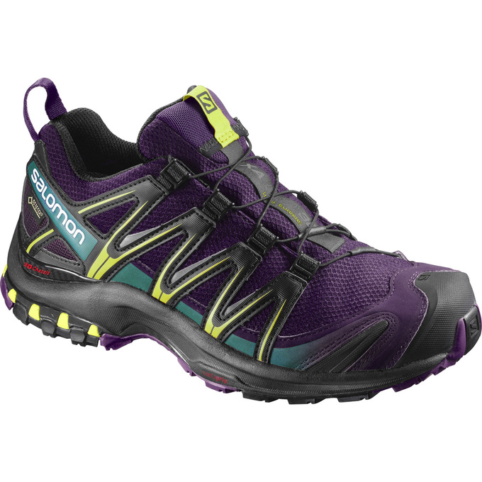 Chaussures De Trail Running Salomon Femme Violette / Noir - Salomon XA PRO 3D GTX® W - France (2351-